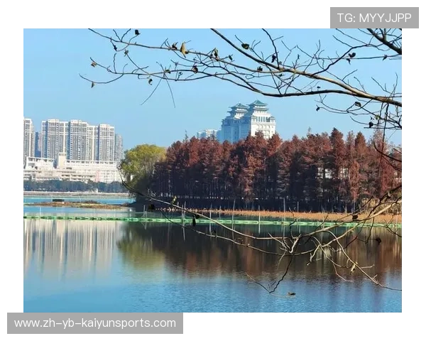 南湖大道主场失分，积分榜位置继续脱离保级线，南湖大道规划