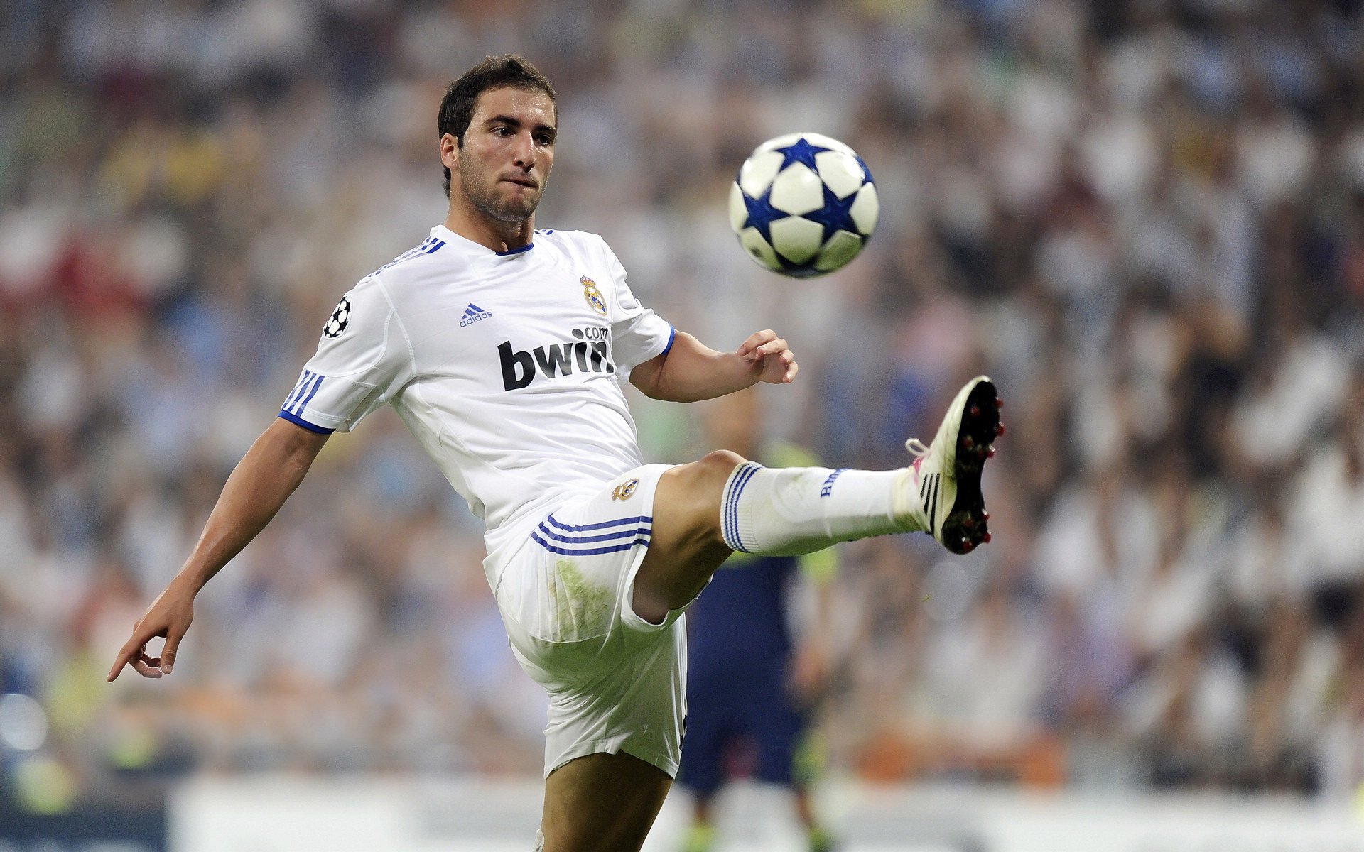 世界杯仅参赛一次,整体战绩1胜4负,世界杯的比赛多少场